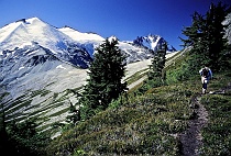 Hiker Gazing at Ruth Mountain